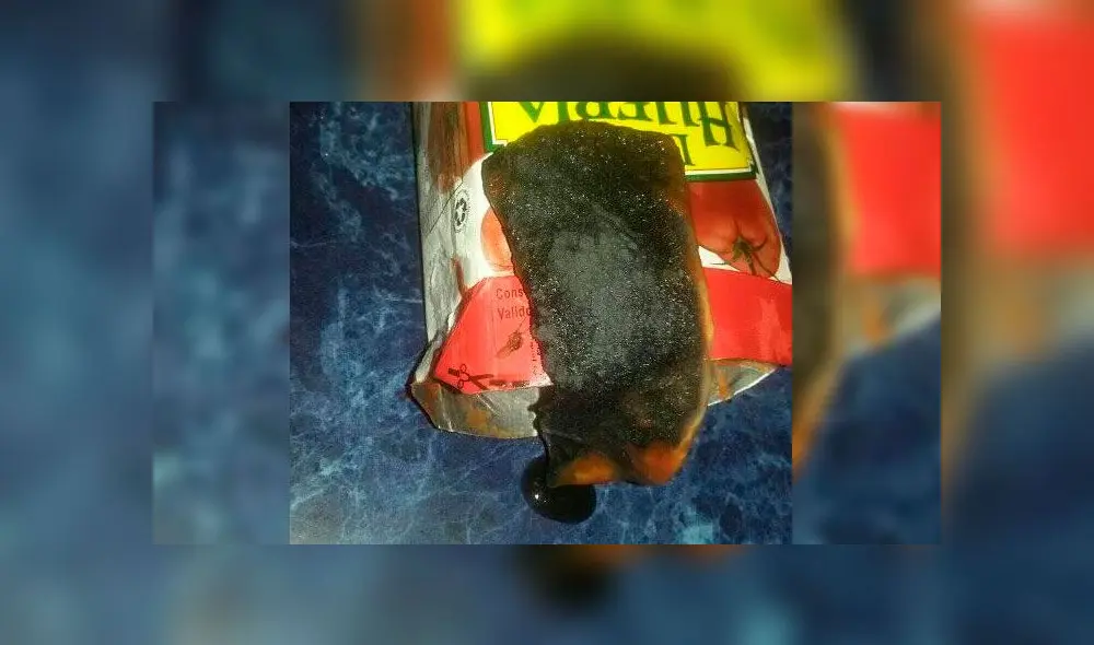 Mujer afirma que encontró una rata en un envase de puré de tomate [FOTOS]