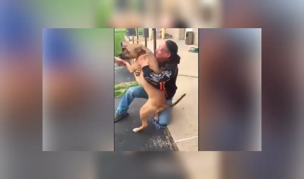 Desliza hacia la izquierda para ver el conmovedor reencuentro de un perro con su amo que se ha vuelto viral en Facebook.