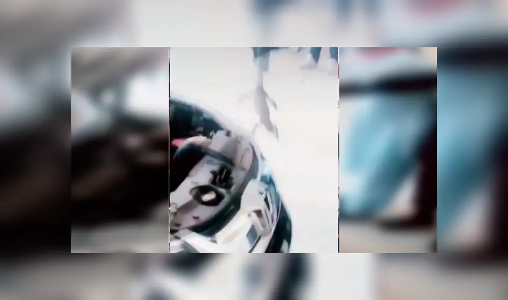 Mecánico revisa el interior de un carro y encuentra peligroso animal que vivía dentro. Mecánico revisa el interior de un carro y encuentra peligroso animal que vivía dentro.