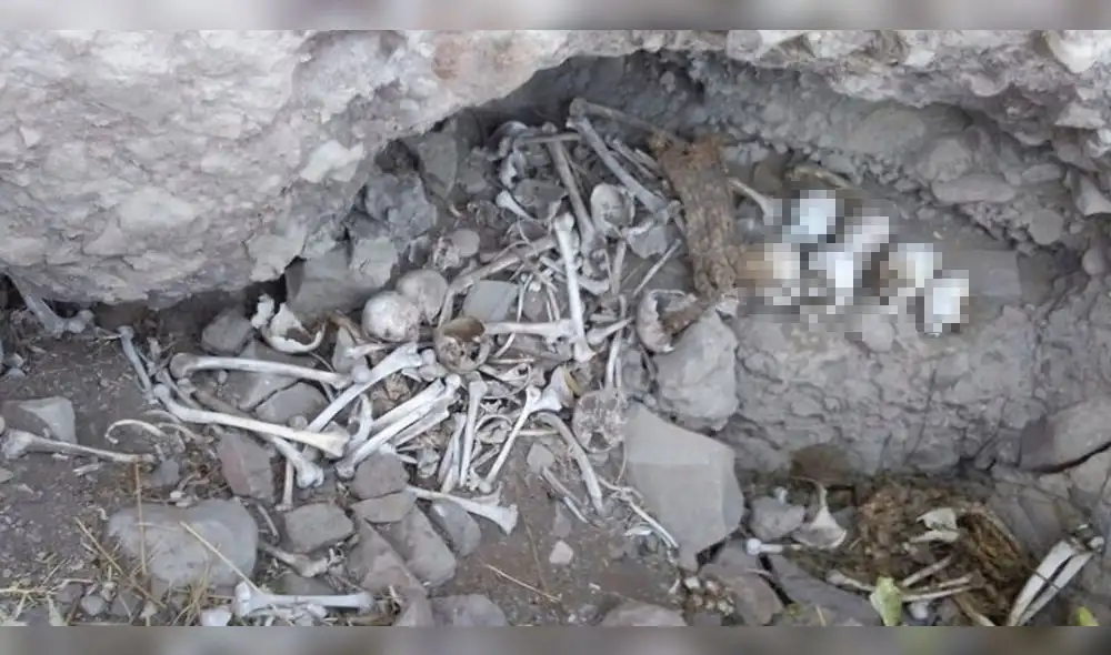 Descubren cementerio inca en zona ocupada por agricultores en Arequipa Descubren cementerio inca en zona ocupada por agricultores en Arequipa