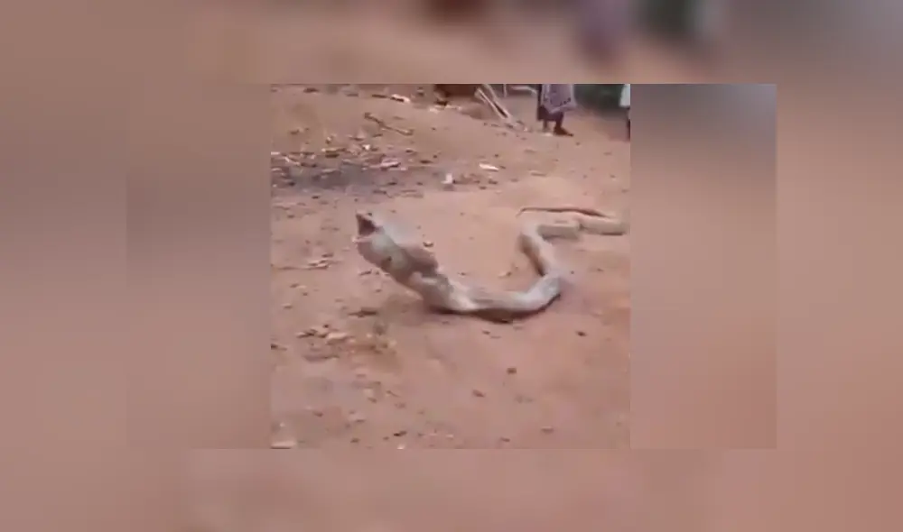 Desliza para ver los momentos más impactantes del video que se hizo viral en Facebook.