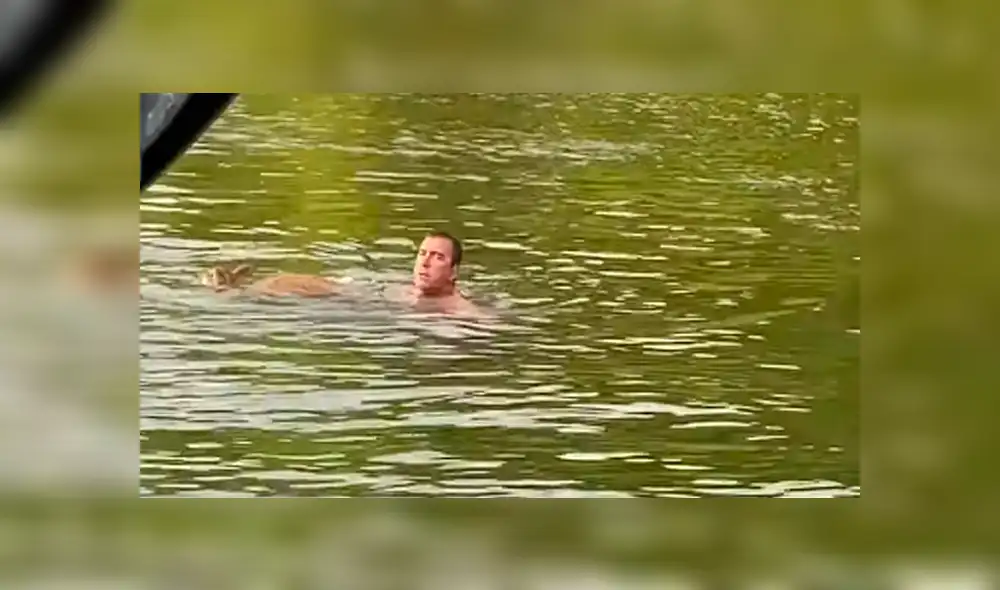 El venado habría intentado escapar de un depredador. Foto: ViralHog / YouTube