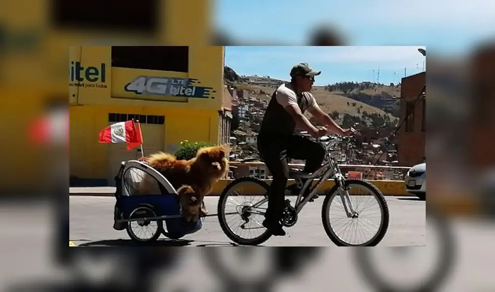 Municipalidad de Puno tenía el proyecto de ordenanza.