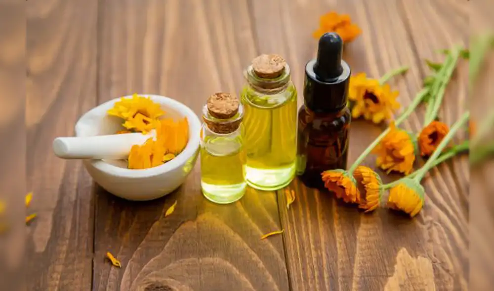 cuidado con flores cuidado con flores