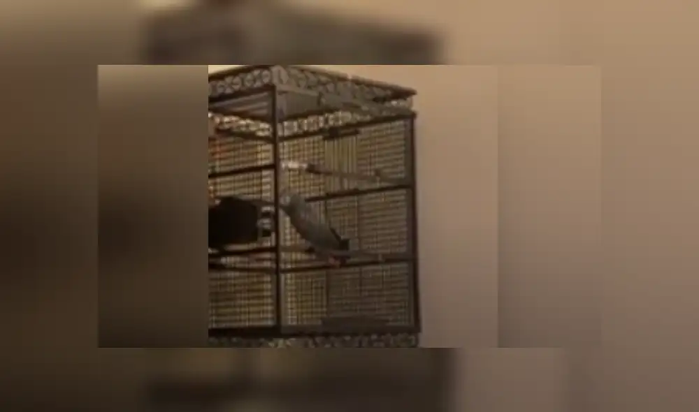 Desliza las imágenes para ver más detalles de esta escena que es viral en Facebook. Desliza las imágenes para ver más detalles de esta escena que es viral en Facebook.