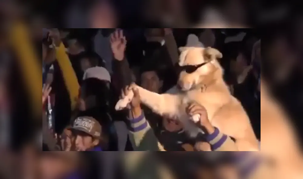 En Facebook, un señor sorprendió al acudir a un concierto de cumbia acompañado de su mascota y fueron captados bailando.