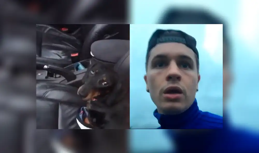 El perrito protagonista del video de Facebook, apretó el botón que bloquea todas las puertas del vehículo impidiéndole entrar a su dueño. El perrito protagonista del video de Facebook, apretó el botón que bloquea todas las puertas del vehículo impidiéndole entrar a su dueño.