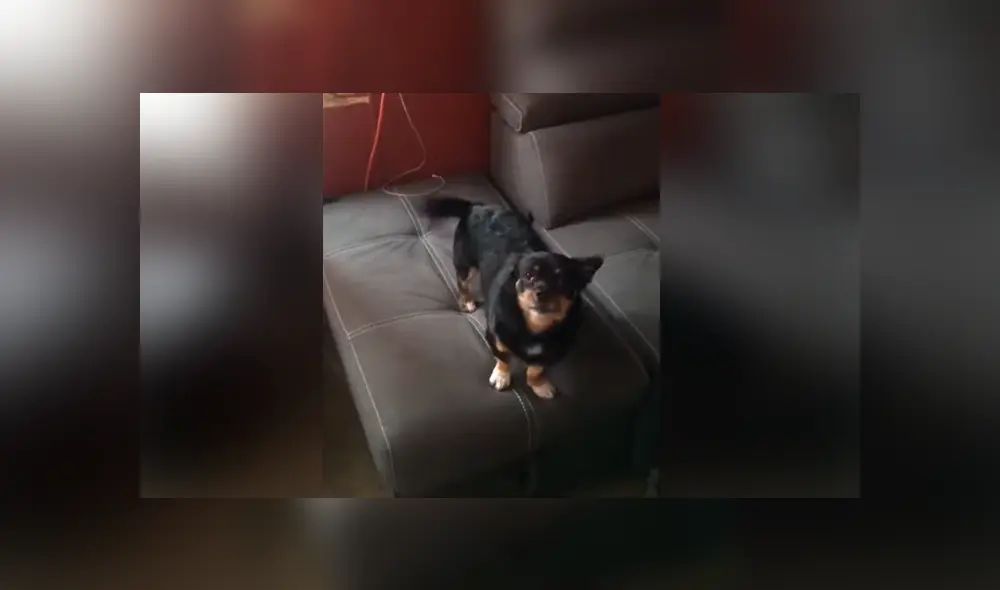 Desliza para ver los momentos más divertidos del video que se hizo viral en YouTube. Desliza para ver los momentos más divertidos del video que se hizo viral en YouTube.