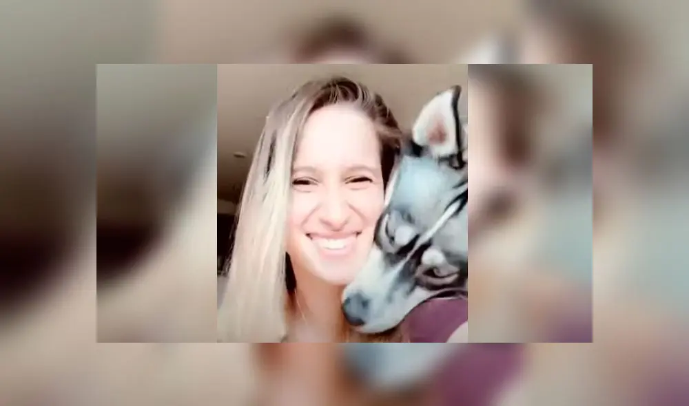Desliza las imágenes para ver la peculiar reacción que tiene un perro husky siberiano al ve que su dueña quiere tomarse un selfie. Foto: RM Videos Desliza las imágenes para ver la peculiar reacción que tiene un perro husky siberiano al ve que su dueña quiere tomarse un selfie. Foto: RM Videos