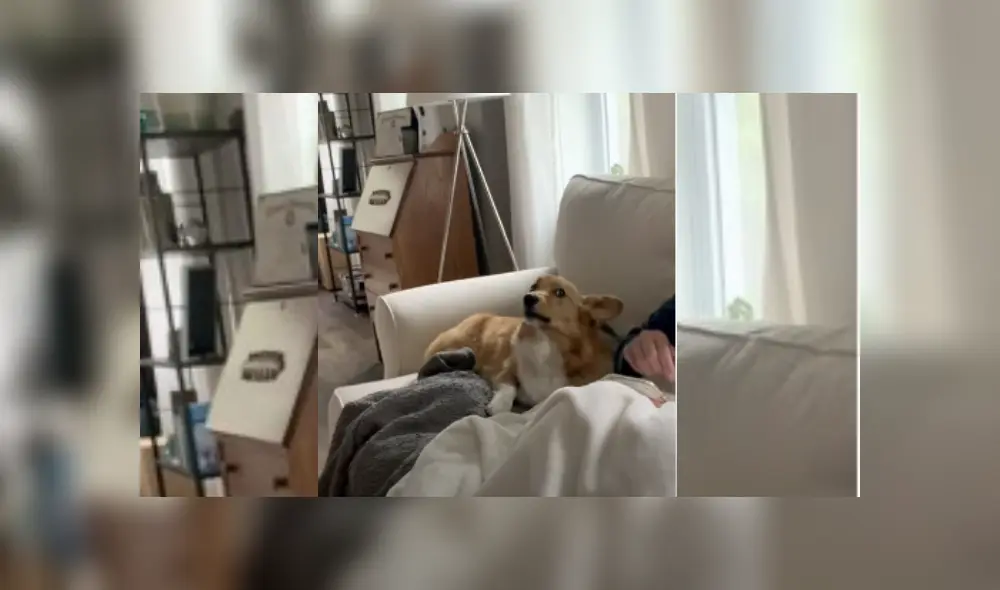 Desliza haca la izquierda para ver más del video viral. Fotocaptura: YouTube. Desliza haca la izquierda para ver más del video viral. Fotocaptura: YouTube.