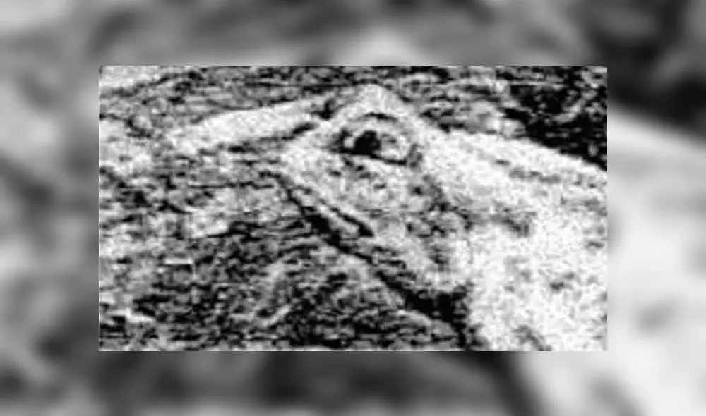 Desliza las imágenes hacia la izquierda para conocer la respuesta correcta del reciente ‘challenge’ de Facebook. Foto: Milenio. Desliza las imágenes hacia la izquierda para conocer la respuesta correcta del reciente ‘challenge’ de Facebook. Foto: Milenio.