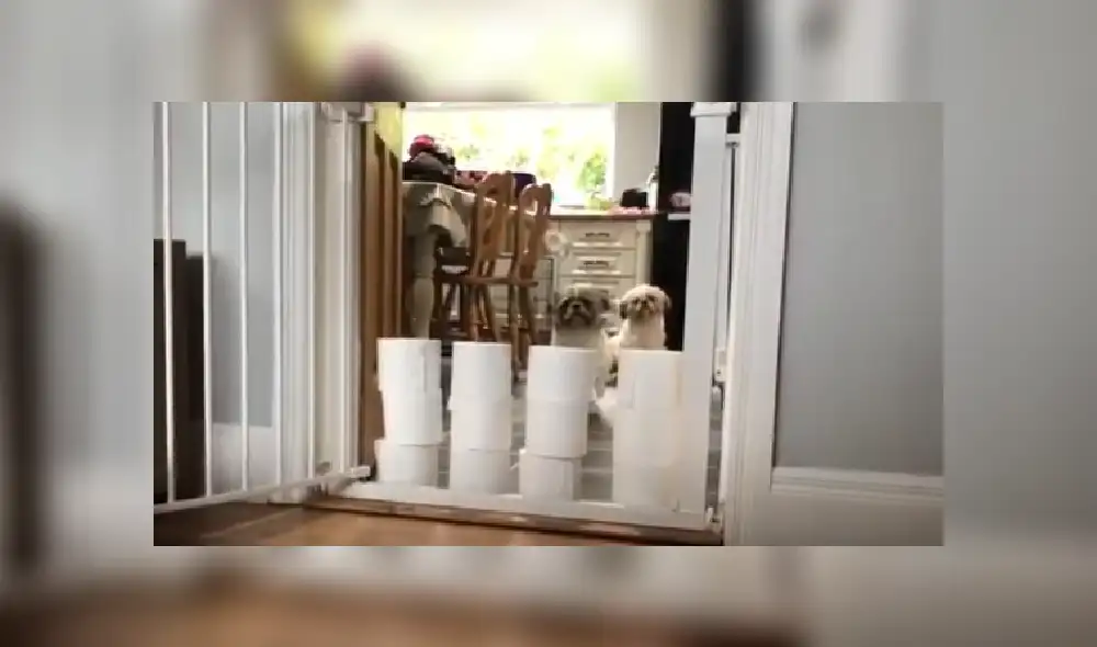 Desliza a la izquierda para ver más imágenes del peculiar video que ya es viral en YouTube.