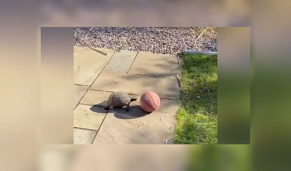 Desliza a la izquierda para conocer más sobre este video viral de YouTube. Foto: Captura.