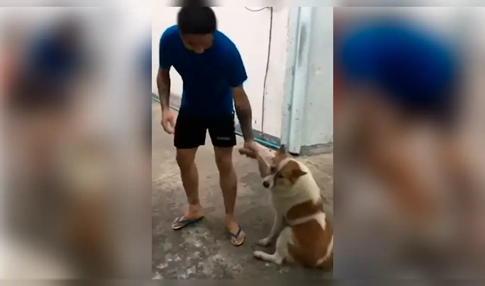 YouTube viral: perro no quiere que se dueño lo bañe y hace de todo para evitarlo YouTube viral: perro no quiere que se dueño lo bañe y hace de todo para evitarlo
