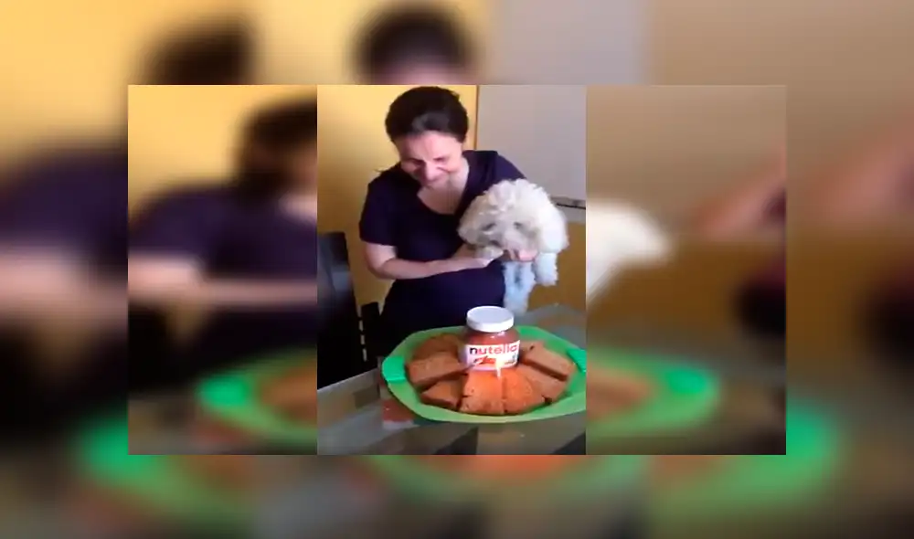 En Facebook, los miembros de una familia decidieron celebrar el cumpleaños de su mascota con una curiosa fiesta. En Facebook, los miembros de una familia decidieron celebrar el cumpleaños de su mascota con una curiosa fiesta.