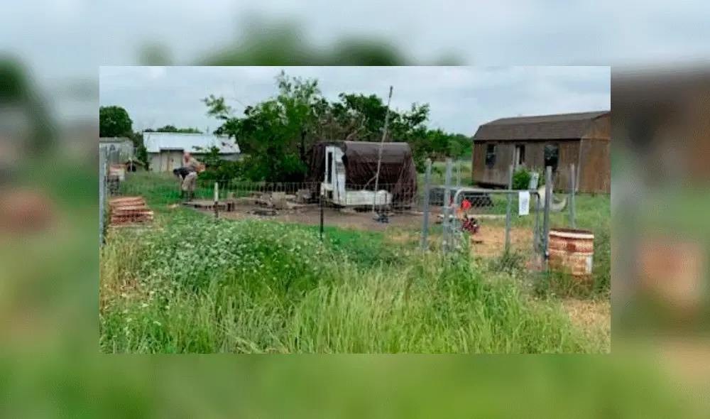 Hombre desaparecido fue devorado por sus perros. Foto: Difusión Hombre desaparecido fue devorado por sus perros. Foto: Difusión