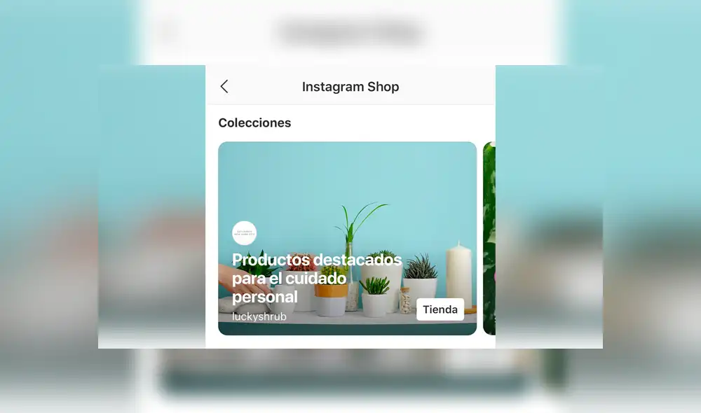 Las secciones de Instagram Shop en perfil serán siempre diferentes.