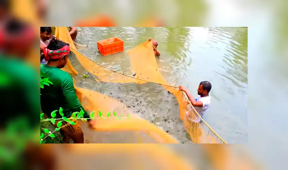 YouTube viral: arrojan enorme red en profundo lago y miles de misteriosas criaturas emergen YouTube viral: arrojan enorme red en profundo lago y miles de misteriosas criaturas emergen