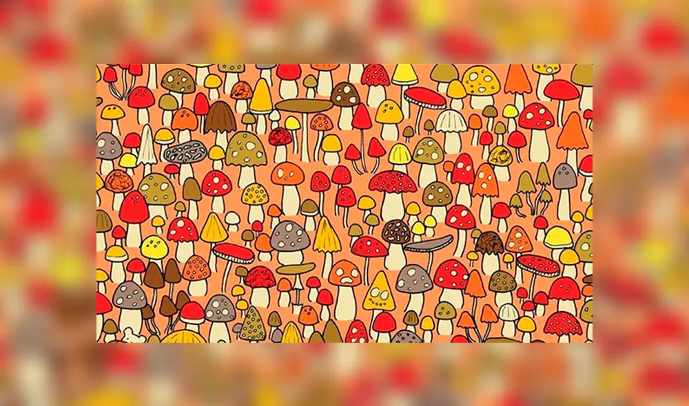 Facebook viral: encuentra al ratón oculto entre hongos, el nuevo reto visual que casi nadie puede superar