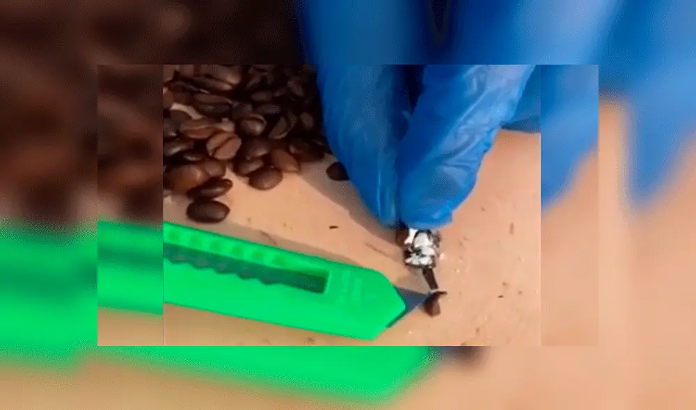 Los agentes sospecharon al ver que como destinatario aparecía el nombre de un mafioso de ficción. Foto: Guarda di Finanza Varese. Los agentes sospecharon al ver que como destinatario aparecía el nombre de un mafioso de ficción. Foto: Guarda di Finanza Varese.