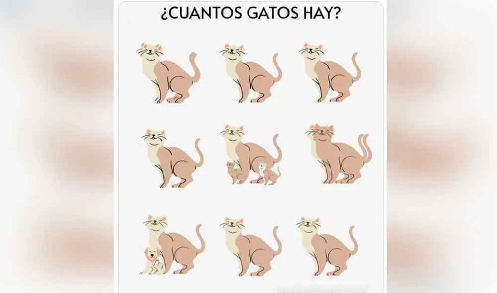 Desliza las imágenes para ver la solución de este reto visual que ha causado todo tipo de reacciones en redes sociales. Foto: captura de Twitter/ Lucía Bejar