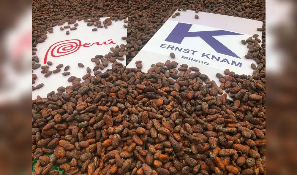 El cacao Chuncho arribará a Genova en las próximas semanas. El cacao Chuncho arribará a Genova en las próximas semanas.