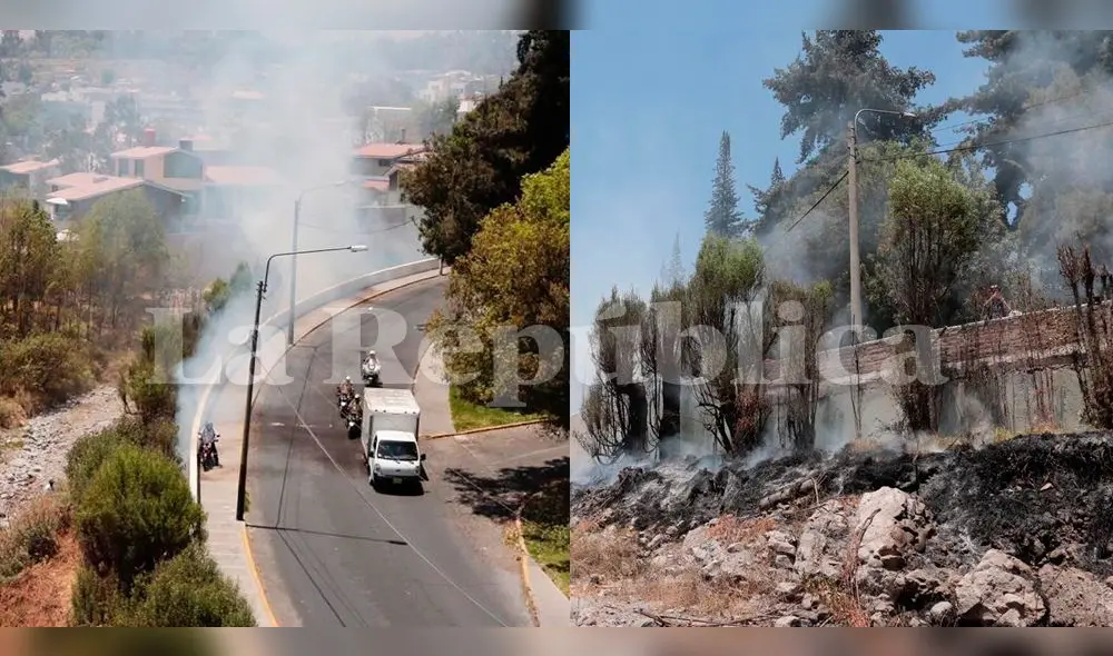 Arequipa: Alarma por incendio forestal en la ribera del río Chili Arequipa: Alarma por incendio forestal en la ribera del río Chili