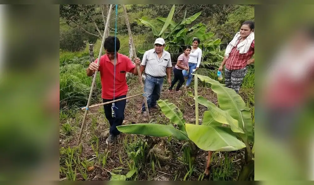Capacitación de reforestación en Jaén