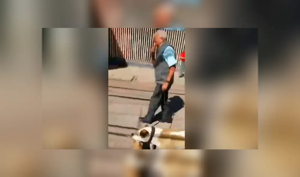 Hombre permite que su perro mate a un gato y lleve el cadáver en el hocico [VIDEO]