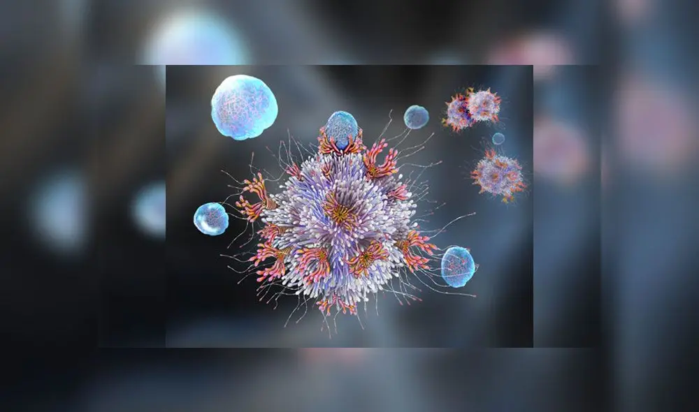 El sistema inmune combate a los agentes infecciosos. Imagen: Science Photo Library.