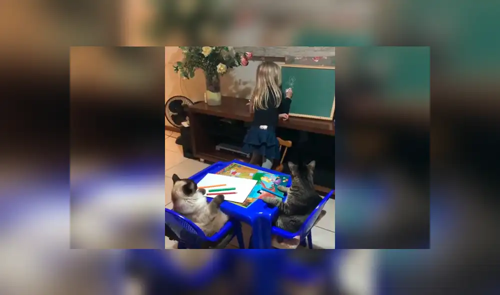 Desliza las imágenes hacia la izquierda para conocer el emotivo momento de una pequeña junto a sus mascotas. Desliza las imágenes hacia la izquierda para conocer el emotivo momento de una pequeña junto a sus mascotas.