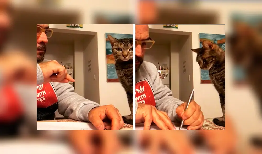 En Facebook, un señor intentó distribuir los quehaceres de la casa con su querida mascota, pero este se queda dormido. En Facebook, un señor intentó distribuir los quehaceres de la casa con su querida mascota, pero este se queda dormido.