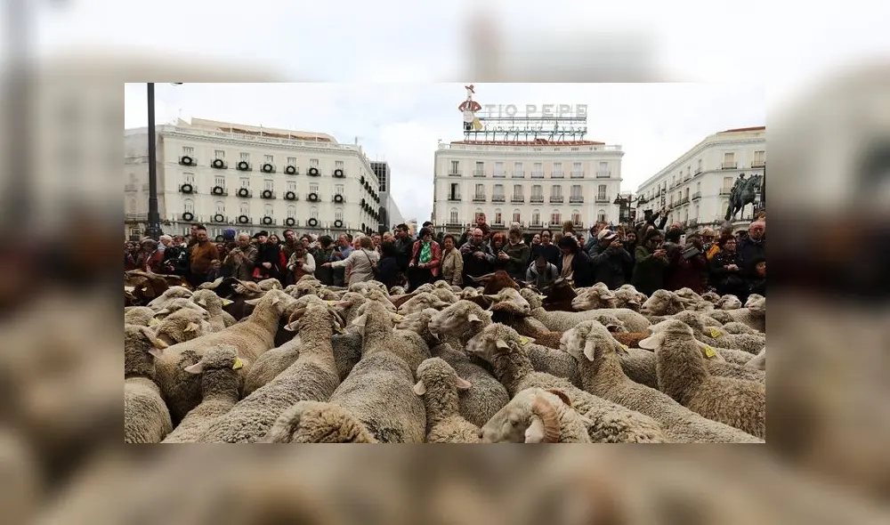 El evento atrajo un gran público en el centro de Madrid. El evento atrajo un gran público en el centro de Madrid.