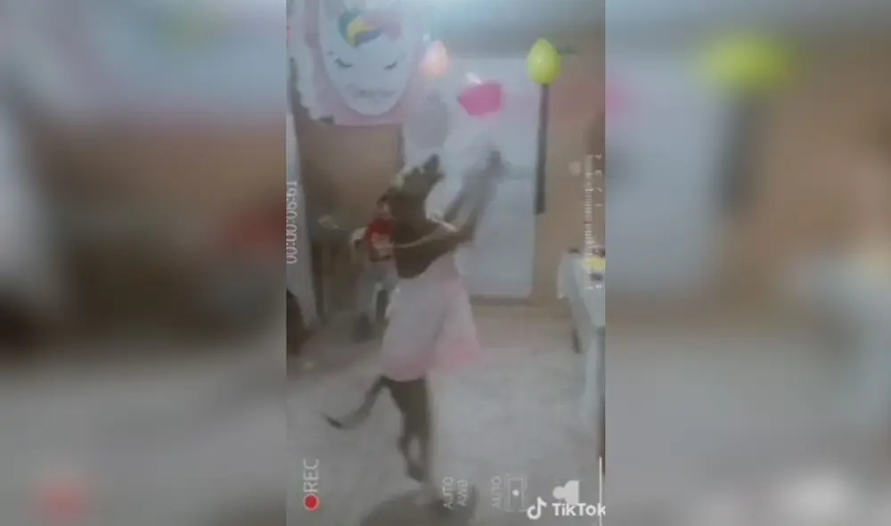 Desliza las imágenes para ver más sobre esta divertida celebración de cumpleaños que tuvo una perrita. (Foto: captura / TikTok)