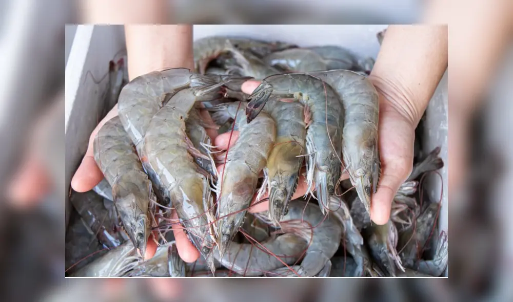 Tumbés aumentó sus exportaciones