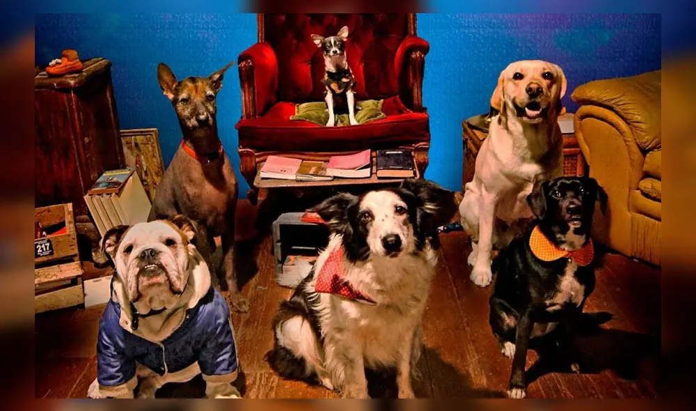 De Patitas en la calle se estrenará este 27 de Febrero a nivel nacional. De Patitas en la calle se estrenará este 27 de Febrero a nivel nacional.