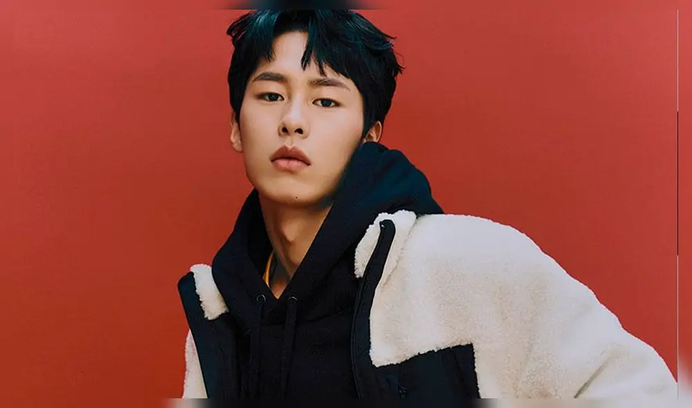 Lee Jae Wook es un actor surcoreano, nacido el 10 de mayo de 1998.