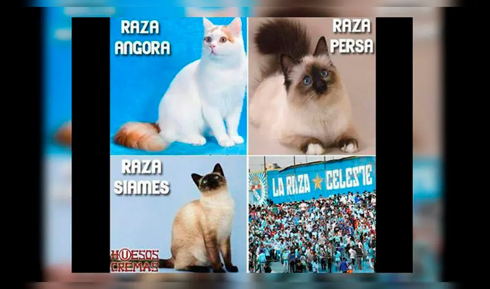 Mira los hilarantes memes de la previa del Sporting Cristal vs Universitario