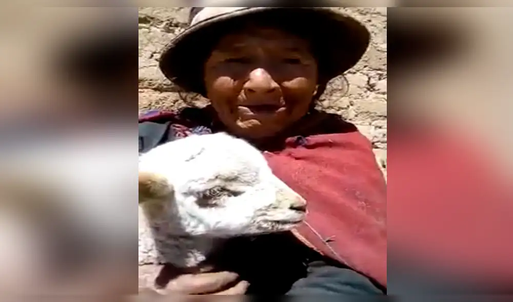 Apurímac: Suspenden Pensión 65 a una anciana en extrema pobreza [VIDEO]