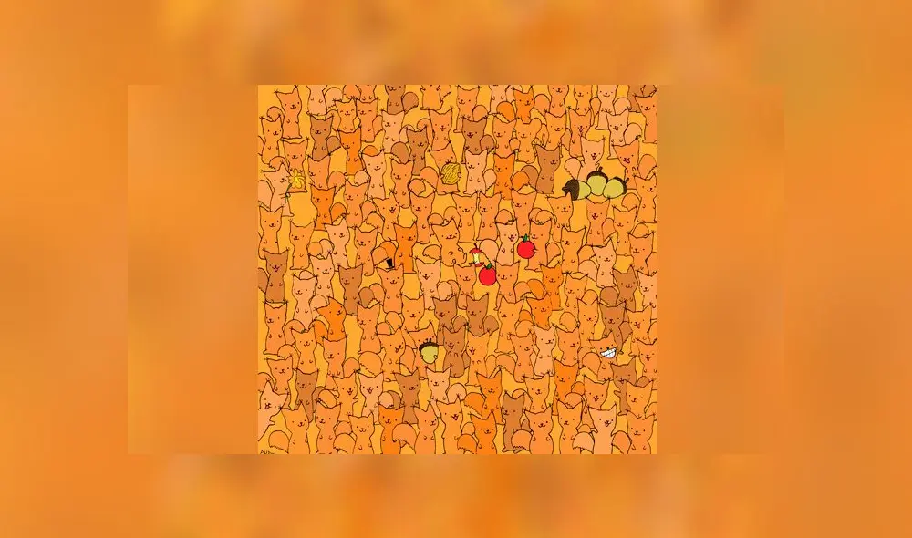 Desliza las imágenes para ver la ubicación del travieso roedor que se escondió entre pequeños zorros. Foto: Dudolf/facebook