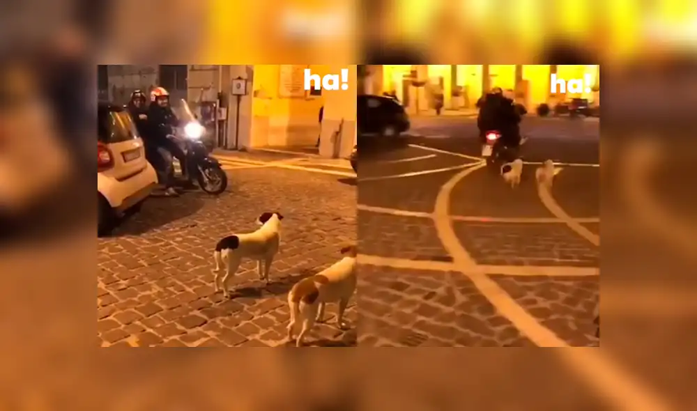 Desliza a la izquierda para ver este nuevo viral de Facebook. Foto: Captura. Desliza a la izquierda para ver este nuevo viral de Facebook. Foto: Captura.