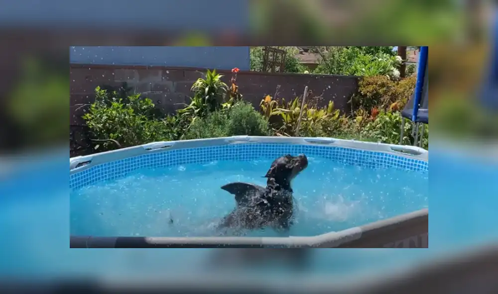 Desliza hacia la izquierda para ver las imágenes del viral de Facebook. Foto: Captura.