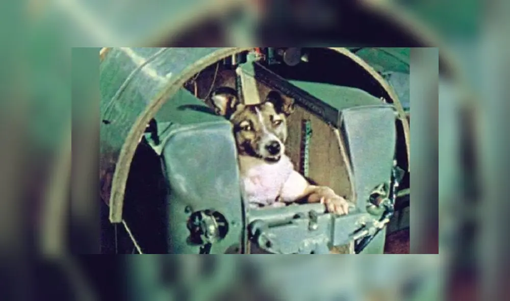 Laika partió al espacio exterior el 3 de noviembre de 1957, pero será recordada por toda la eternidad. Laika partió al espacio exterior el 3 de noviembre de 1957, pero será recordada por toda la eternidad.