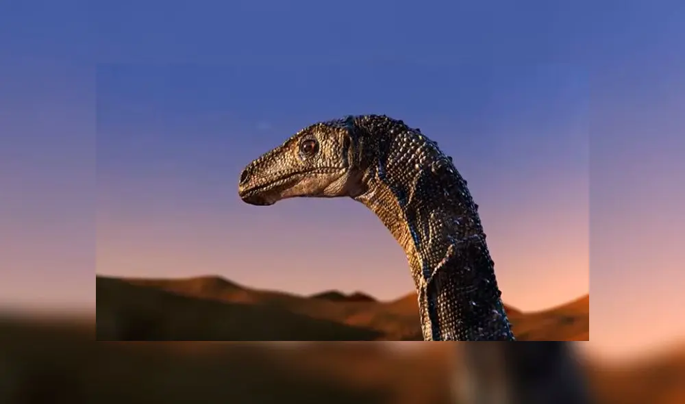 El hallazgo se produjo al sur de Brasil. Foto: Captura Canal USP.