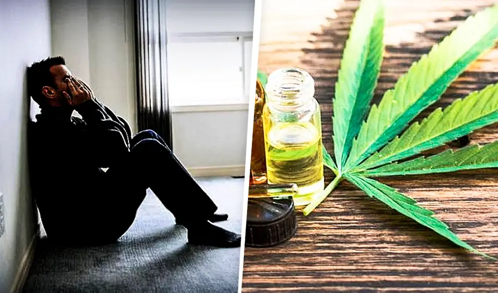 Los trastornos de salud mental pueden ser tratados, en algunos casos, con el cannabis medicinal. (Foto: Composición LR) Los trastornos de salud mental pueden ser tratados, en algunos casos, con el cannabis medicinal. (Foto: Composición LR)