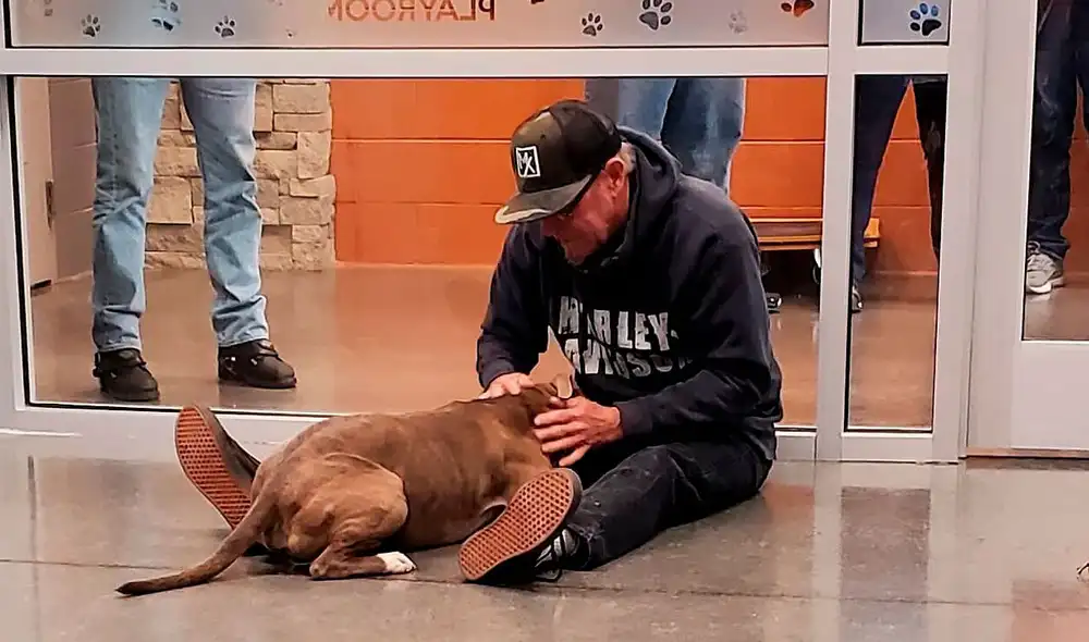 Desliza las imágenes para apreciar el conmovedor momento en que un hombre volvió a ver a su perro. Foto: Captura de Facebook