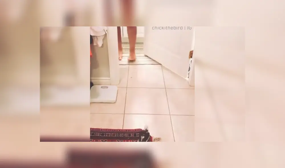 Desliza para ver los detalles de este video viral publicado en Facebook. Foto: Captura. Desliza para ver los detalles de este video viral publicado en Facebook. Foto: Captura.