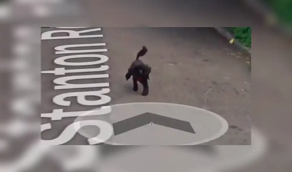 Curioso hallazgo con las cámaras de Google Maps se hace viral en las redes sociales. Curioso hallazgo con las cámaras de Google Maps se hace viral en las redes sociales.