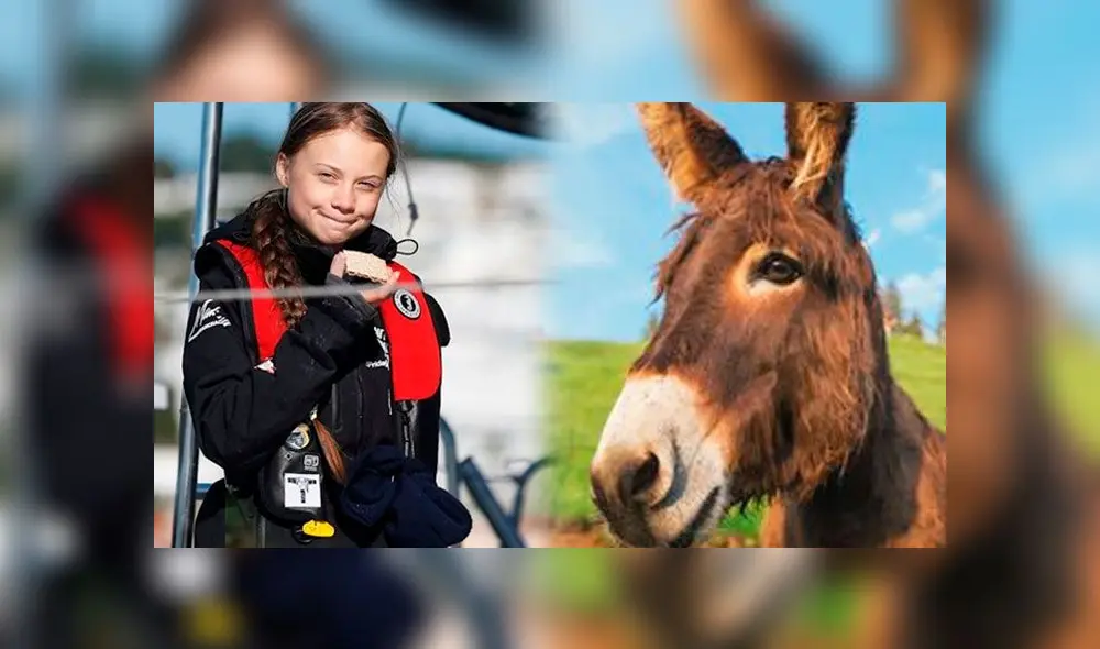 Greta Thunberg, la ambientalista de 16 años que viajó 20 días en velero para evitar contaminar el medioambiente. Foto: Composición