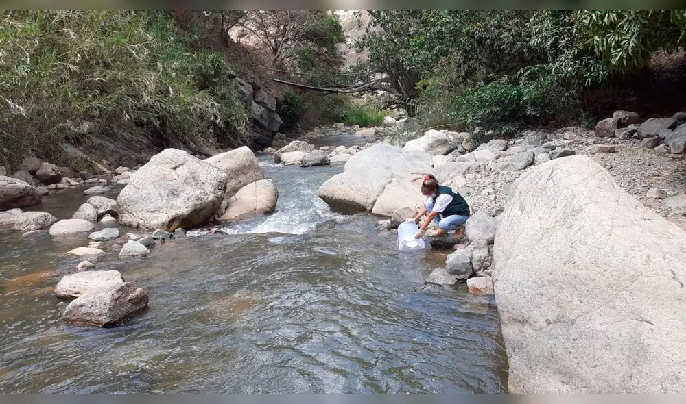 ANA monitorea calidad de agua en ríos del norte